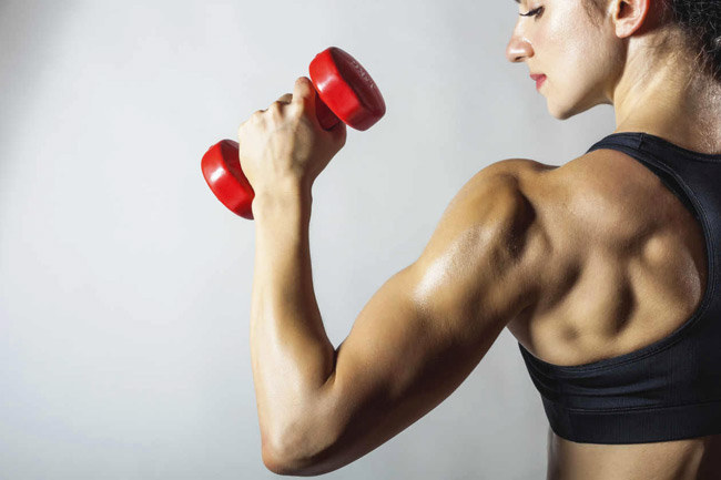 Top 10 to Well-Defined Triceps Top 10 to Well-Defined Triceps