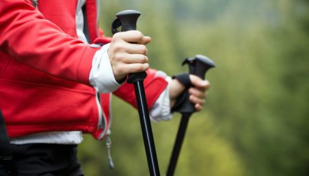 nordic pole walking